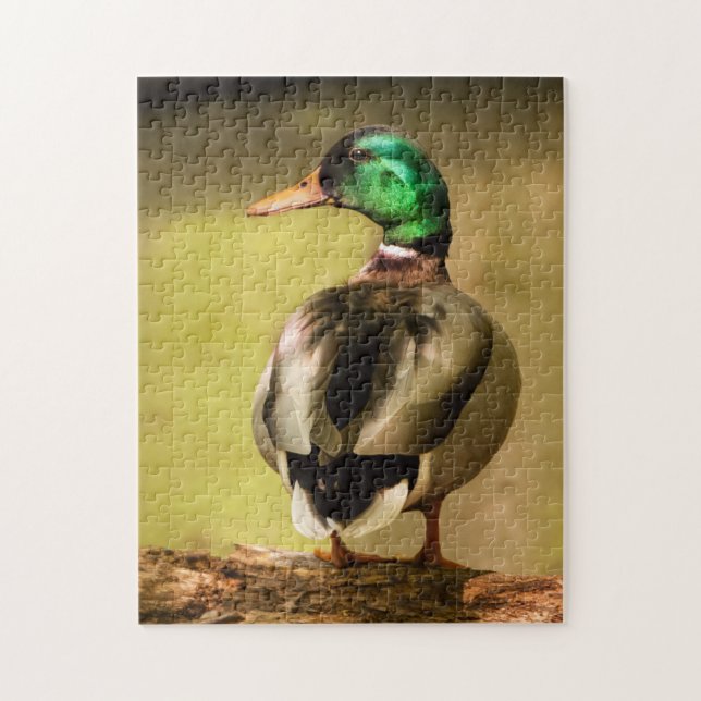 Mallard Duck Jigsaw Puzzle (Vertical)