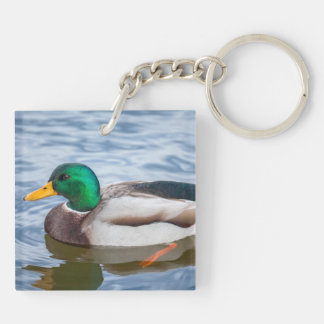 Mallard Duck Keychain