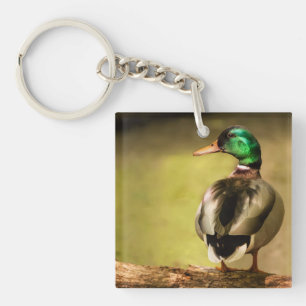Mallard Duck Keychain