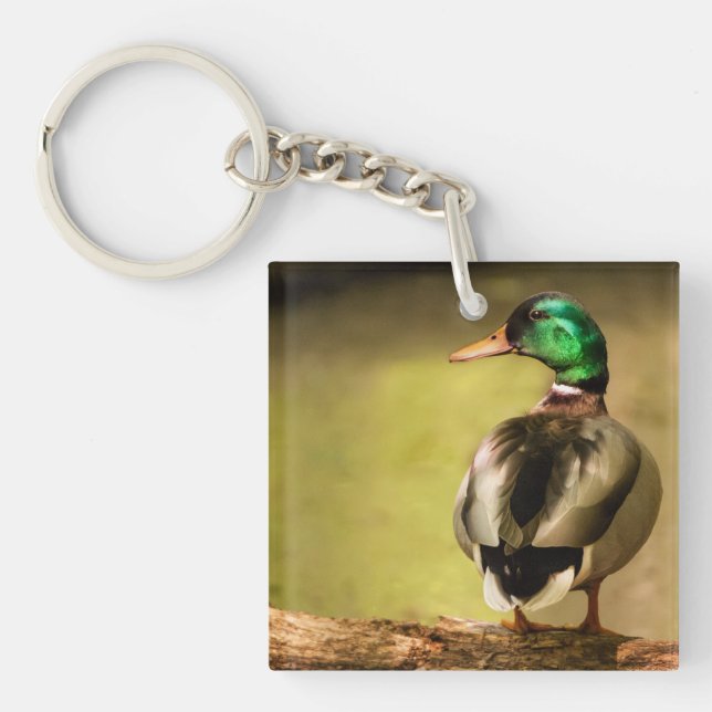 Mallard Duck Keychain (Front)