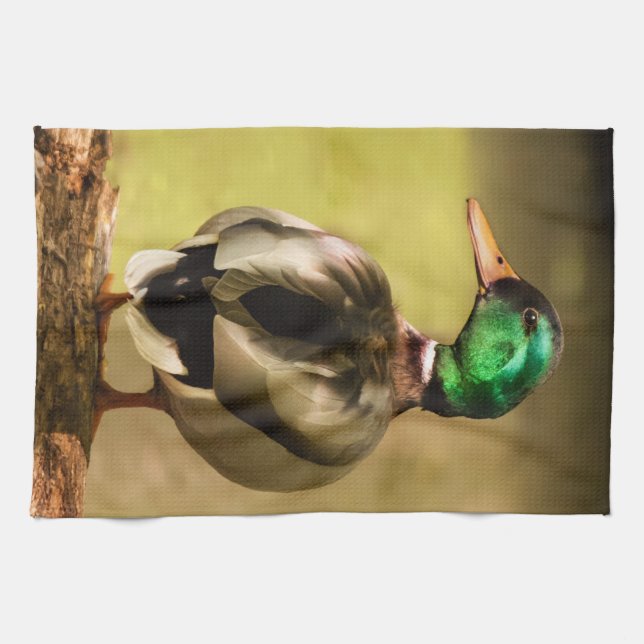 Mallard Duck Kitchen Towel (Horizontal)