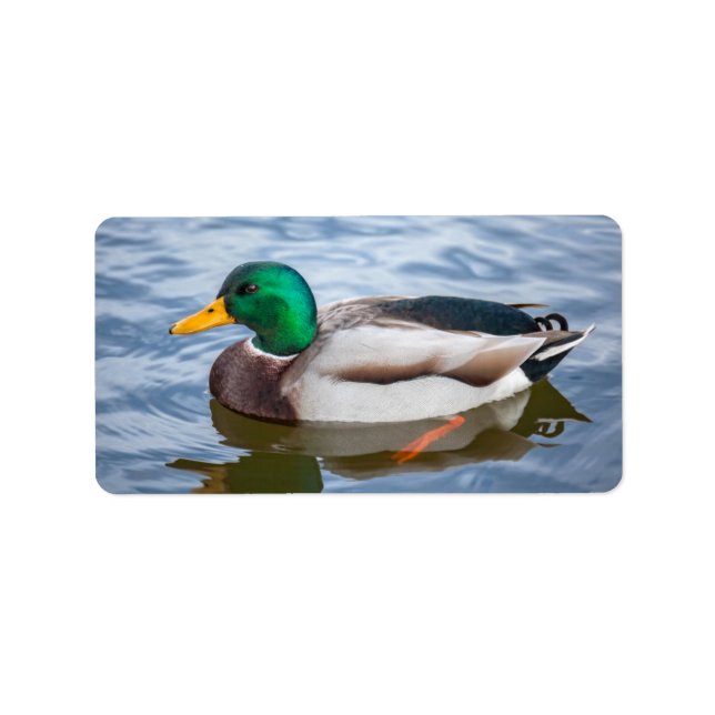 Mallard Duck Label (Front)