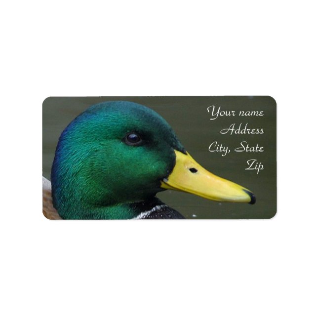 Mallard Duck Label (Front)