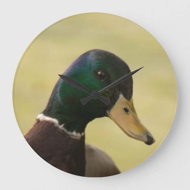 Mallard Duck Large Clock (Front)