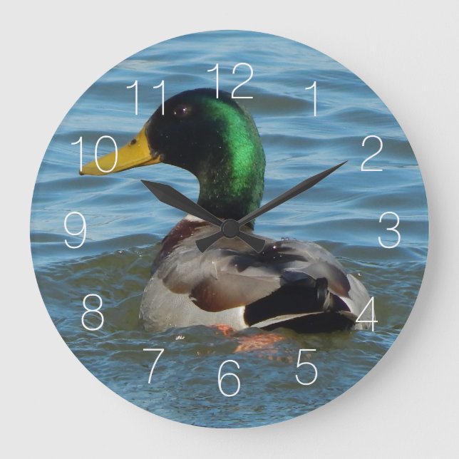 Mallard Duck Large Clock (Front)