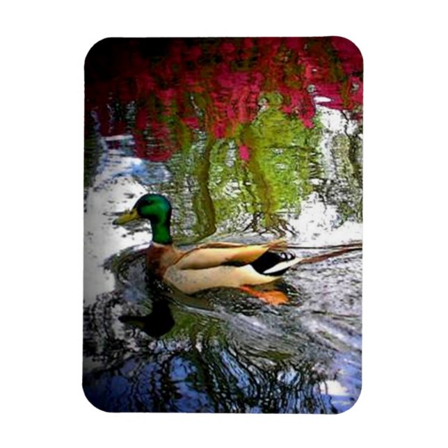 Mallard duck Magnet-Design 2 Magnet (Vertical)