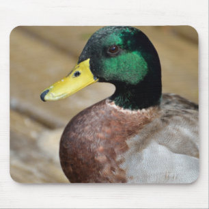 Mallard Duck Mouse Pad