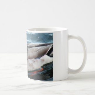 Mallard Duck Mug