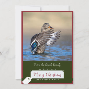 Mallard Duck on a Christmas Card