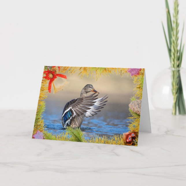 Mallard Duck on a Christmas Card (Front)