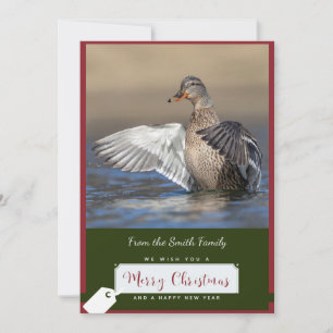 Mallard Duck on a Christmas Card