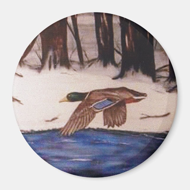 Mallard Duck on a Mission Magnet (Front)