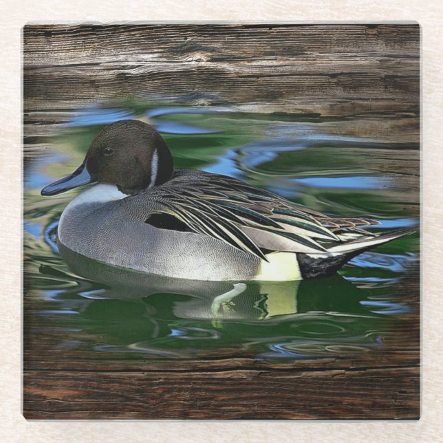 Mallard Duck On Lake Glass Coaster (Front)