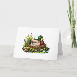 Mallard Duck on Nest Card