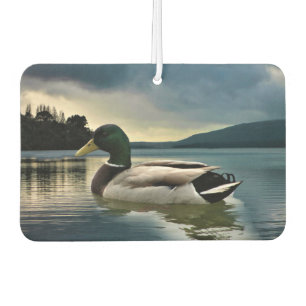 Mallard Duck On The Lake Air Freshener