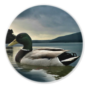 Mallard Duck On The Lake Ceramic Knob