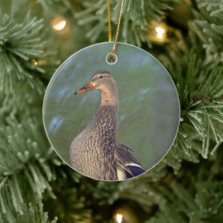 Mallard Duck Ornament 