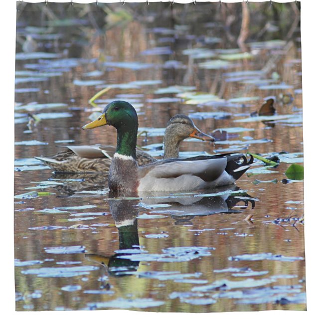Mallard duck pair (Front)