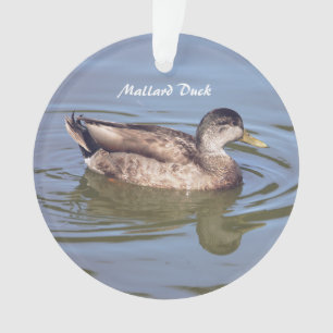 Mallard Duck Photo Ornament