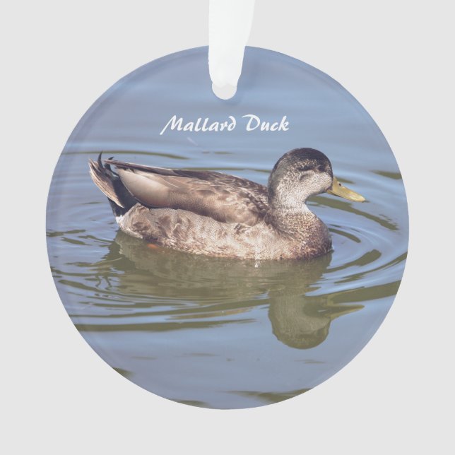 Mallard Duck Photo Ornament  (Front)