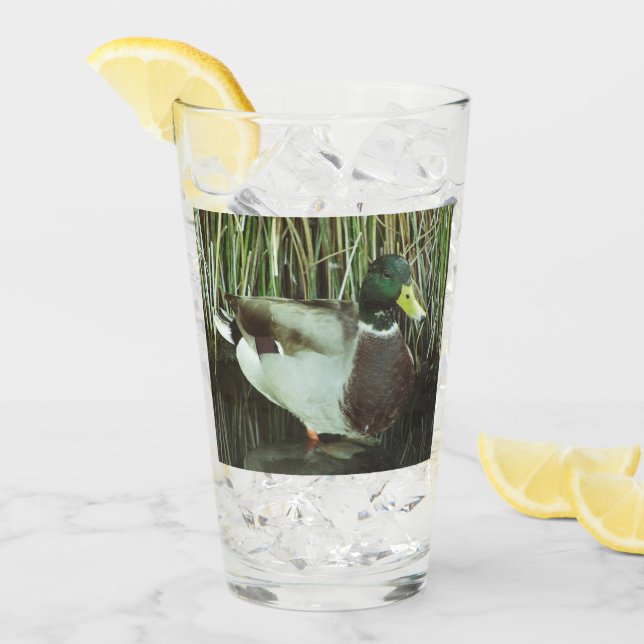 Mallard Duck Photo Outdoorsman Lake Bird Glass (Front Ice)