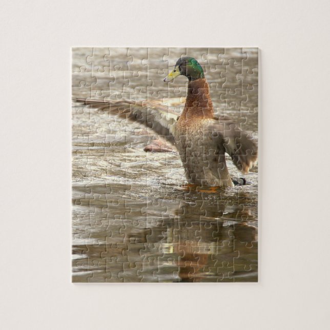 Mallard Duck Photo Puzzle (Vertical)
