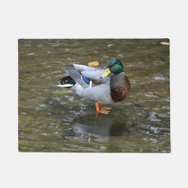 Mallard Duck Pose Doormat (Front)