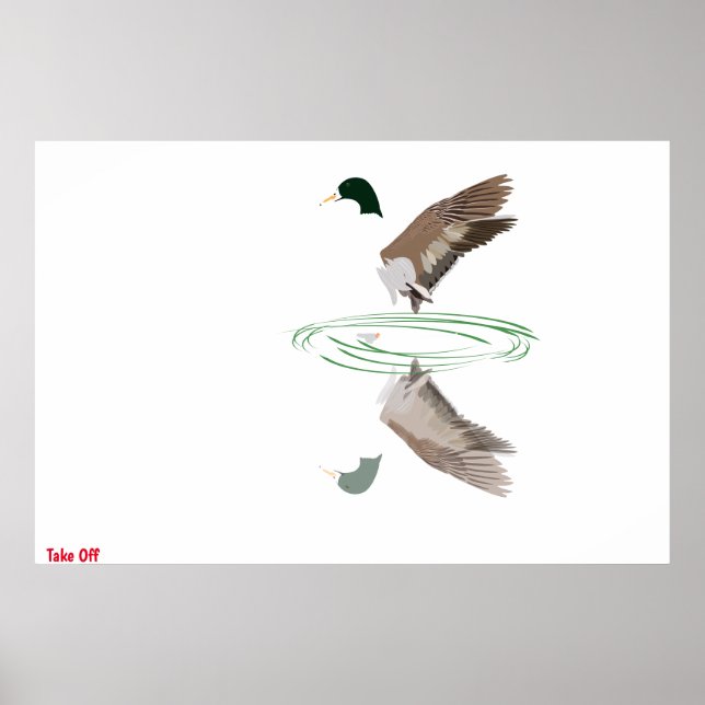 Mallard Duck Poster (Front)