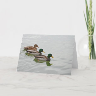 Mallard duck print greeting card