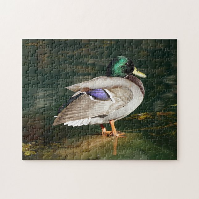 Mallard Duck Puzzle (Horizontal)