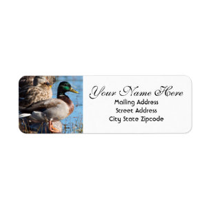 Mallard Duck Return Address