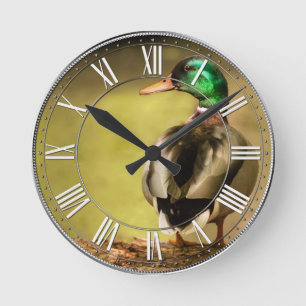 Mallard Duck Round Clock