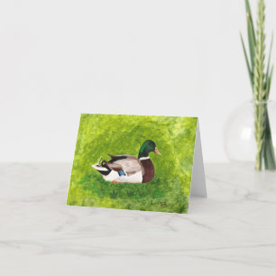 Mallard Duck Sitting in Grass Greeting Cards