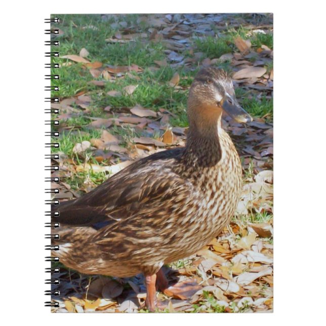 Mallard Duck Spiral Photo Notebook (Front)