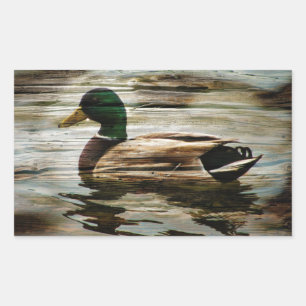 Mallard Duck Sticker