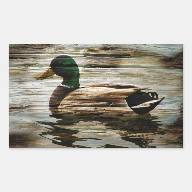 Mallard Duck Sticker (Front)