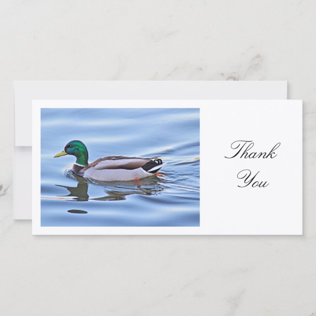 Mallard Duck - Thank You Card (Front)