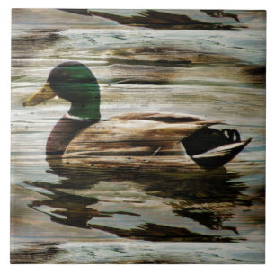 Mallard Duck Tile