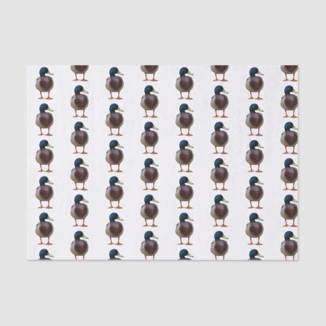 Mallard Duck Tissue Paper (Front)