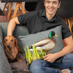 Mallard Duck Wildlife Photo Accent Pillow