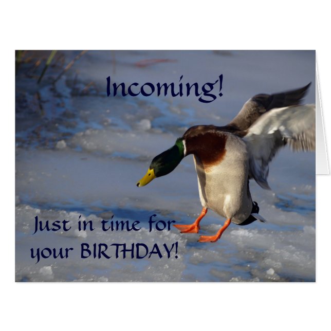 Mallard Duck Wildlife Photo for Bird-lovers (Front Horizontal)