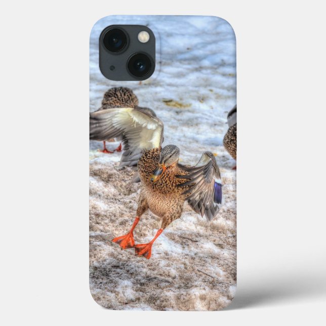 Mallard Duck Wildlife Photo for Bird-lovers Case-Mate iPhone Case (Back)