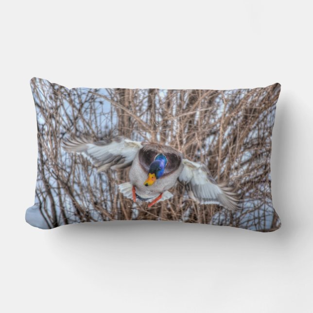 Mallard Duck Wildlife Photo for Bird-lovers Lumbar Pillow (Front)