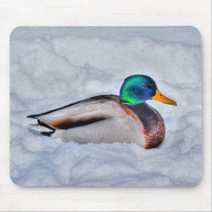 Mallard Duck Wildlife Photo for Bird-lovers Mouse Pad