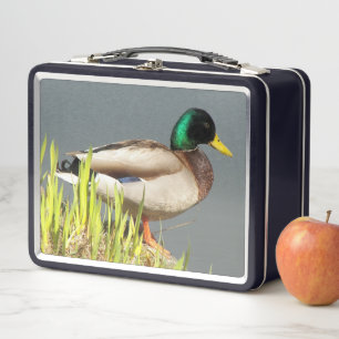 Mallard Duck Wildlife Photo Metal Lunch Box