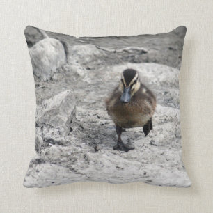 Mallard Duckling 9043 Throw Pillow