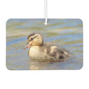 Mallard Duckling Air Freshener