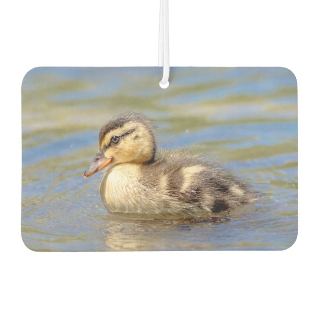 Mallard Duckling Air Freshener (Front)