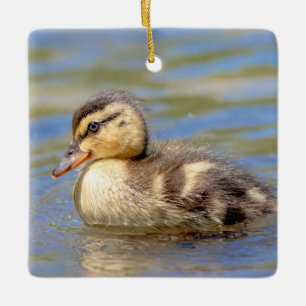 Mallard Duckling Ceramic Ornament