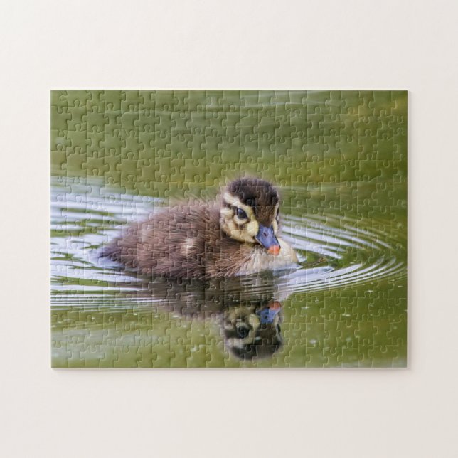 Mallard Duckling Jigsaw Puzzle (Horizontal)